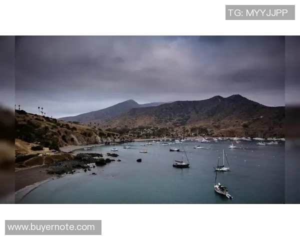 足球明星魅力四射壁纸精选集让你尽享视觉盛宴